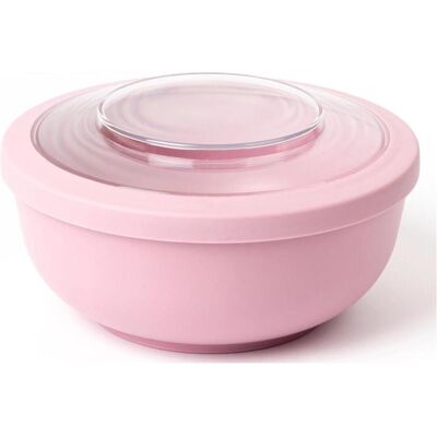 Amuse Schüssel Life Dinner, Lunchbox, Violett, Pink Amuse Schüssel Life Dinner, Lunchbox, Violett, Pink
