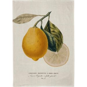 Sköna Ting, Geschirrtuch, Küchentuch - Zitrone (70 x 50 cm) Sköna Ting, Geschirrtuch, Küchentuch - Zitrone (70 x 50 cm)