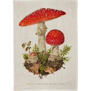 Sköna Ting, Geschirrtuch, Küchentuch - Fliegenpilz (70 x 50 cm) Sköna Ting, Geschirrtuch, Küchentuch - Fliegenpilz (70 x 50 cm)