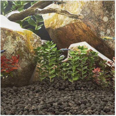 vidaXL Vulkangesteine 25 kg Schwarz 5-8 cm - Aquarium Steine vidaXL Vulkangesteine 25 kg Schwarz 5-8 cm - Aquarium Steine
