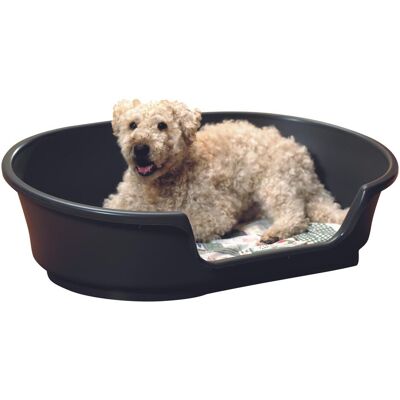 Savic Hundebett - 55x29x19 cm - Schwarz - Hundebett Savic Hundebett - 55x29x19 cm - Schwarz - Hundebett