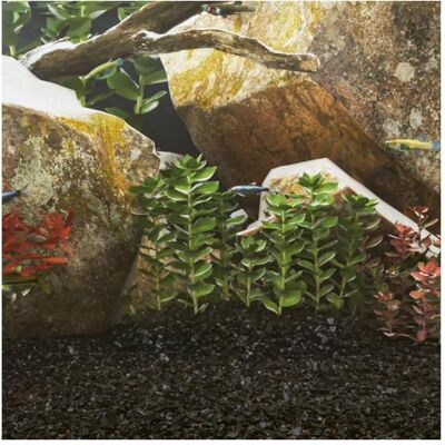 vidaXL Modell 44665 Aquariensand - Schwarz - 25 kg - Natürliches Substrat vidaXL Modell 44665 Aquariensand - Schwarz - 25 kg - Natürliches Substrat