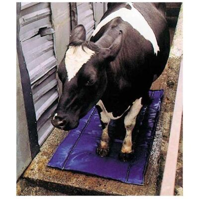 Shoof Klauendesinfektions- und -pflegematte, Tierhygiene Shoof Klauendesinfektions- und -pflegematte, Tierhygiene