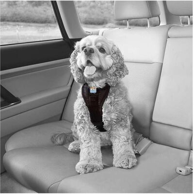Kurgo Tru-Fit Smart Hundegeschirr - Auto & Spaziergänge Kurgo Tru-Fit Smart Hundegeschirr - Auto & Spaziergänge