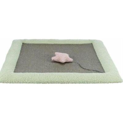 Trixie Junior Kratzmatte - 47x47 cm - Grau/Mint Trixie Junior Kratzmatte - 47x47 cm - Grau/Mint