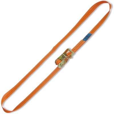 BETA, Spanngurt + Ladungssicherung, 081860008 Zurrgurt mit Ratsche und Öse 8 Meter BETA, Spanngurt + Ladungssicherung, 081860008 Zurrgurt mit Ratsche und Öse 8 Meter
