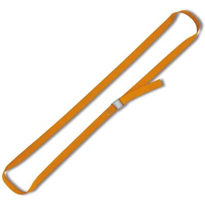 BETA, Spanngurt + Ladungssicherung, Befestigungsgürtel mit Clearing, geschlossen, mit Polypropylen 250 kg 5,0 m 25 mm BETA, Spanngurt + Ladungssicherung, Befestigungsgürtel mit Clearing, geschlossen, mit Polypropylen 250 kg 5,0 m 25 mm