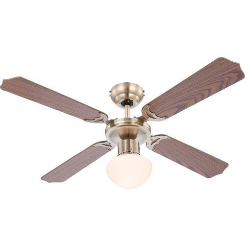 Globo Champion, Ventilator, Braun