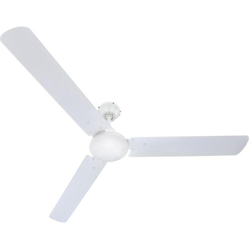 Globo Ferro, Ventilator, Weiss