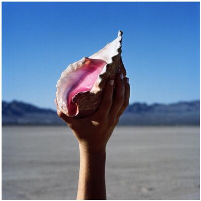 Island Wonderful Wonderful (Vinyl), Schallplatten Island Wonderful Wonderful (Vinyl), Schallplatten