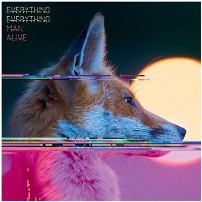 Proper MAN ALIVE (W/BOOK) (DLX) (OFGV) (POST) (UK), Schallplatten Proper MAN ALIVE (W/BOOK) (DLX) (OFGV) (POST) (UK), Schallplatten