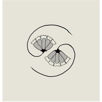 Cargo G D/'S PEE AT STATE/'S END! (180gLP+10/"), Schallplatten Cargo G D/'S PEE AT STATE/'S END! (180gLP+10/"), Schallplatten