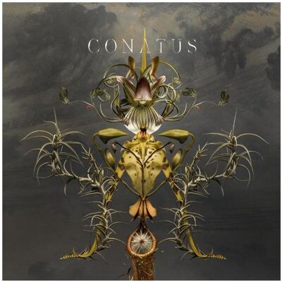 DGG Conatus-JOEP BEVING, Schallplatten DGG Conatus-JOEP BEVING, Schallplatten