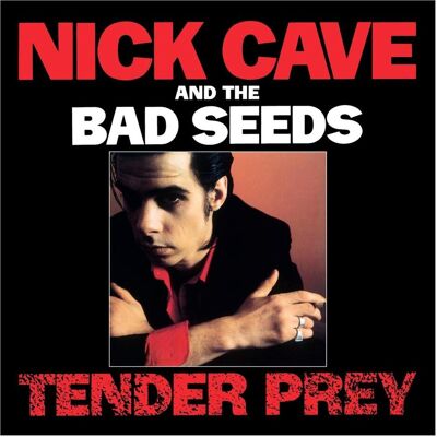 Mute, Schallplatten, Tender Prey (Nick Cave & The Bad Seeds) Mute, Schallplatten, Tender Prey (Nick Cave & The Bad Seeds)