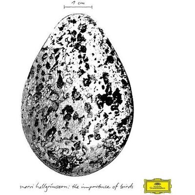 DGG Importance Of Birds (Ep), Schallplatten DGG Importance Of Birds (Ep), Schallplatten
