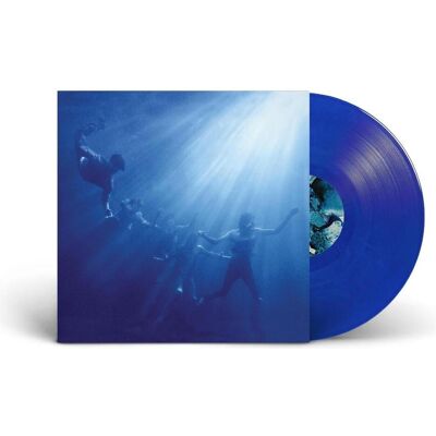 Warner Bros. Total Life Forever (Eco Blue Vinyl) (VINYL), Schallplatten Warner Bros. Total Life Forever (Eco Blue Vinyl) (VINYL), Schallplatten