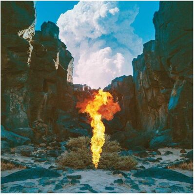 Ninja Tune, Schallplatten, Migration (Bonobo) Ninja Tune, Schallplatten, Migration (Bonobo)