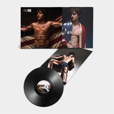 Warner Bros. American Heart, Schallplatten Warner Bros. American Heart, Schallplatten