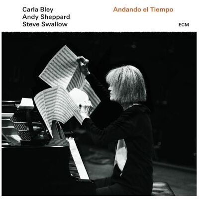 ECM Andando El Tiempo, Schallplatten ECM Andando El Tiempo, Schallplatten