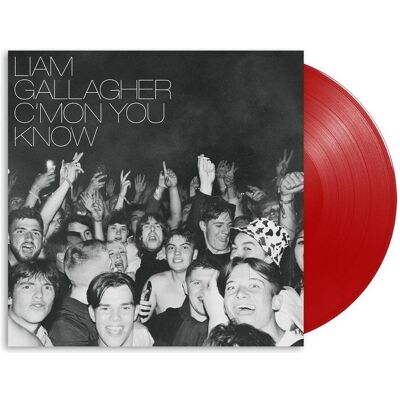 Warner Bros. C'MON YOU KNOW (COLV) (LTD) (RED) (HOL), Schallplatten Warner Bros. C'MON YOU KNOW (COLV) (LTD) (RED) (HOL), Schallplatten
