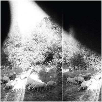 Cargo Asunder,Sweet And Other Distress (Vinyl), Schallplatten Cargo Asunder,Sweet And Other Distress (Vinyl), Schallplatten