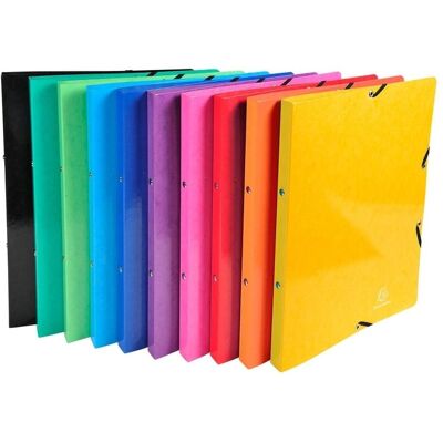 Exacompta Ordner, Ringbuch Iderama 54829E Gummizug 20 Stück Farbig assortiert A4 (A4, 20 mm, 20 Stk.) Exacompta Ordner, Ringbuch Iderama 54829E Gummizug 20 Stück Farbig assortiert A4 (A4, 20 mm, 20 Stk.)