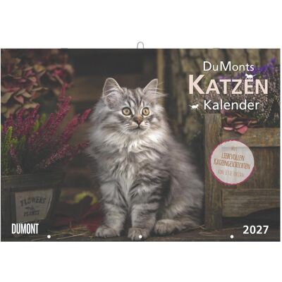 DuMont, Kalender, DuMonts Katzen Kalender 2027 (42 x 29 cm) DuMont, Kalender, DuMonts Katzen Kalender 2027 (42 x 29 cm)