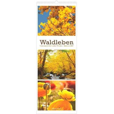 Alpha Edition, Kalender, Waldleben - Triplets 2027 (Spezial) Alpha Edition, Kalender, Waldleben - Triplets 2027 (Spezial)
