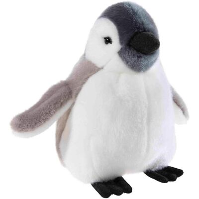 Heunec 231474 - Misanimo Baby Pinguin, Plüschtier, 20cm (20 cm) Heunec 231474 - Misanimo Baby Pinguin, Plüschtier, 20cm (20 cm)