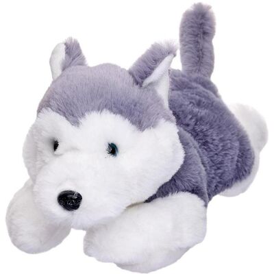 BEPPE Husky Plüschtier - 35 cm Kuscheltier BEPPE Husky Plüschtier - 35 cm Kuscheltier