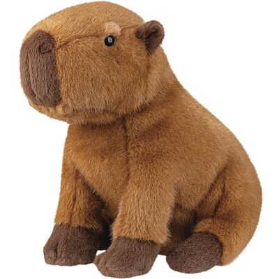 OEM Capybara OEM Capybara