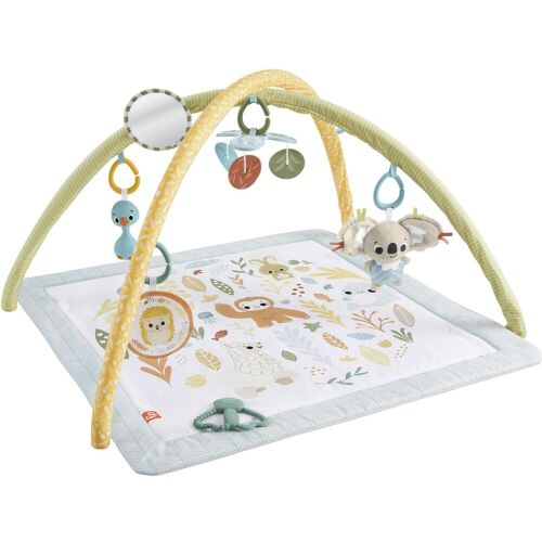 Fisher Price + Spielbogen, Simply Senses