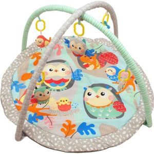 Baby Mix Lernmatte - Sówki - Abnehmbare Spielzeuge - Ab 3 Monaten Baby Mix Lernmatte - Sówki - Abnehmbare Spielzeuge - Ab 3 Monaten