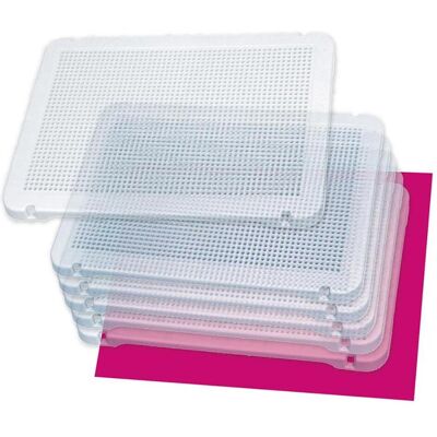 Miniland Pegs 6 Transp. Steckplatten Miniland Pegs 6 Transp. Steckplatten