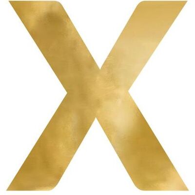 Pricenet X Gold Spiegelbuchstabe - Spiegelbuchstabe Pricenet X Gold Spiegelbuchstabe - Spiegelbuchstabe
