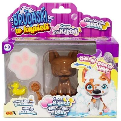 EPEE Ein schmutziger weisser und brauner Boston-Hund im Bad EPEE Ein schmutziger weisser und brauner Boston-Hund im Bad