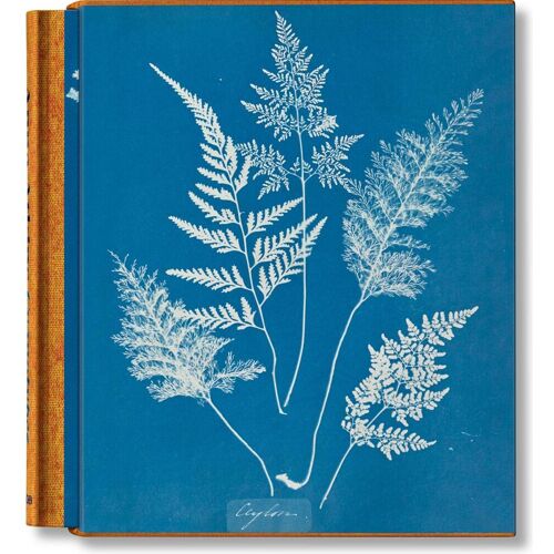 Taschen Anna Atkins. Cyanotypes, Fachbücher von Peter Walther