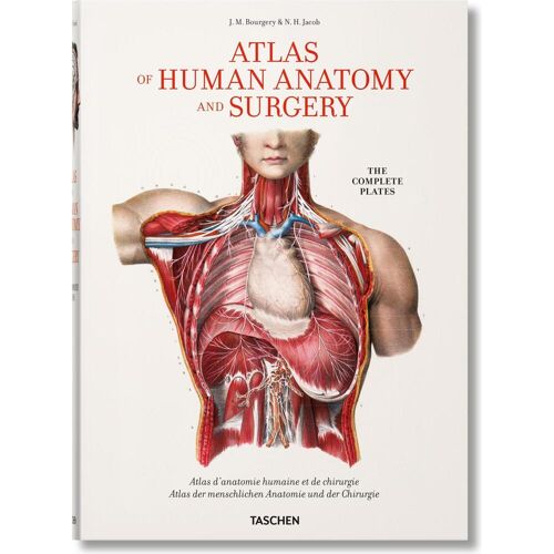 Taschen Bourgery. Atlas of Human Anatomy and Surgery, Sachbücher von Jean-Marie Le Minor