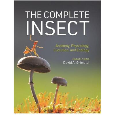 University Press The Complete Insect, Fachbücher von David A. Grimaldi University Press The Complete Insect, Fachbücher von David A. Grimaldi