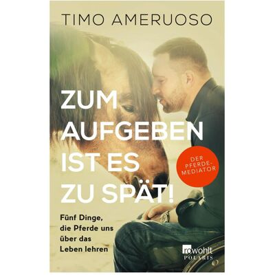rororo Zum Aufgeben ist es zu spät!, Biografien von Timo Ameruoso rororo Zum Aufgeben ist es zu spät!, Biografien von Timo Ameruoso