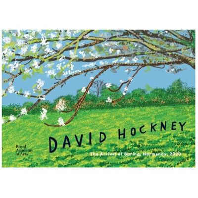 ACADEMY David Hockney, Sachbücher von David Hockney ACADEMY David Hockney, Sachbücher von David Hockney