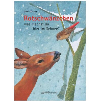 Orell Füssli Rotschwänzchen was machst du hier im Schnee?, Kinderbücher von Anne Möller Orell Füssli Rotschwänzchen was machst du hier im Schnee?, Kinderbücher von Anne Möller
