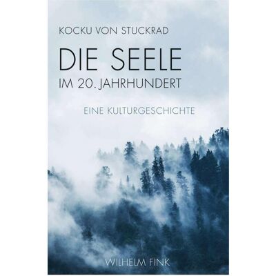Brill Die Seele im 20. Jahrhundert, Fachbücher von Kocku von Stuckrad Brill Die Seele im 20. Jahrhundert, Fachbücher von Kocku von Stuckrad