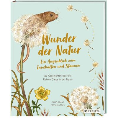 Prestel Wunder der Natur. Ein Augenblick zum Innehalten und Staunen, Kinderbücher von Laura Brand, Freya Hartas Prestel Wunder der Natur. Ein Augenblick zum Innehalten und Staunen, Kinderbücher von Laura Brand, Freya Hartas