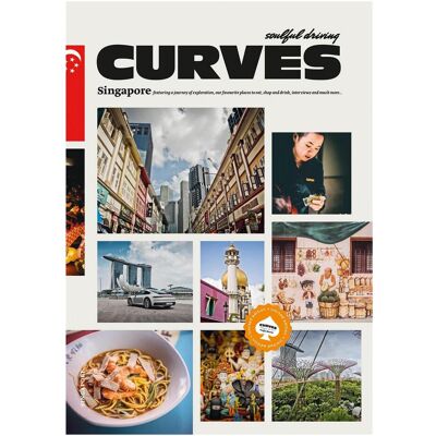 Delius Klasing CURVES Singapore, Ratgeber von Stefan Bogner Delius Klasing CURVES Singapore, Ratgeber von Stefan Bogner