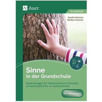 Auer Sinne in der Grundschule, Schulbücher von Sandra Sommer, Markus Sommer Auer Sinne in der Grundschule, Schulbücher von Sandra Sommer, Markus Sommer