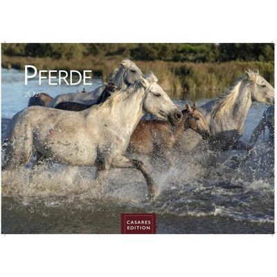 Casares Fine Art Edition, Kalender, Pferde Kalender 2027 (35 x 50 cm) Casares Fine Art Edition, Kalender, Pferde Kalender 2027 (35 x 50 cm)