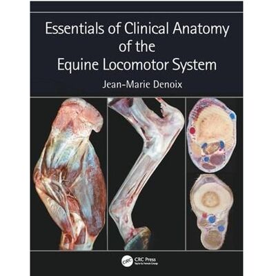 Taylor Essentials in Clinical Anatomy of the Equine Locomotor System, Ratgeber von Jean-Marie Denoix Taylor Essentials in Clinical Anatomy of the Equine Locomotor System, Ratgeber von Jean-Marie Denoix