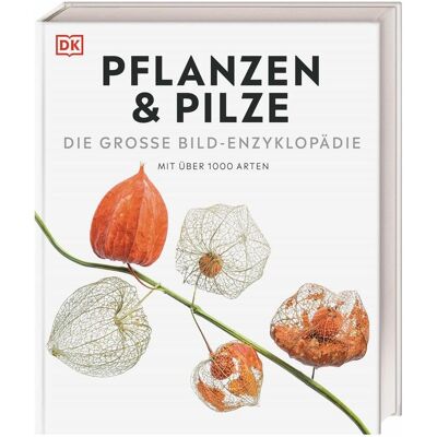 Dorling Kindersley DK Bibliothek. Pflanzen & Pilze, Sachbücher von John Farndon, Tim Harris, Lynne Boddy, Dr. Chris Clennett, Dr. Sarah Jose, Andreas Held Dorling Kindersley DK Bibliothek. Pflanzen & Pilze, Sachbücher von John Farndon, Tim Harris, Lynne Boddy, Dr. Chris Clennett, Dr. Sarah Jose, Andreas Held