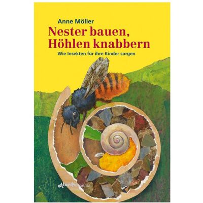 Orell Füssli Nester bauen, Höhlen knabbern, Kinderbücher von Anne Möller Orell Füssli Nester bauen, Höhlen knabbern, Kinderbücher von Anne Möller